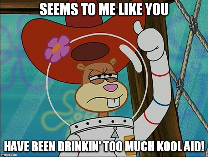 Sandy Cheeks - Drinkin' Too Much | SEEMS TO ME LIKE YOU HAVE BEEN DRINKIN' TOO MUCH KOOL AID! | image tagged in sandy cheeks,memes,spongebob squarepants,insult,sandy cheeks cowboy hat,texas girl | made w/ Imgflip meme maker