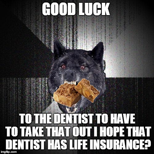 GOOD LUCK TO THE DENTIST TO HAVE TO TAKE THAT OUT I HOPE THAT DENTIST HAS LIFE INSURANCE? | made w/ Imgflip meme maker