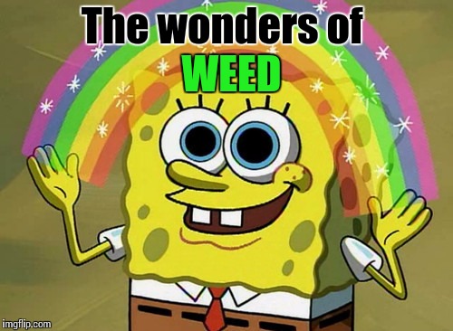 Imagination Spongebob Meme | The wonders of WEED | image tagged in memes,imagination spongebob | made w/ Imgflip meme maker