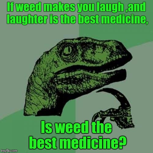 Philosoraptor Meme | If weed makes you laugh ,and laughter is the best medicine, Is weed the best medicine? | image tagged in memes,philosoraptor | made w/ Imgflip meme maker