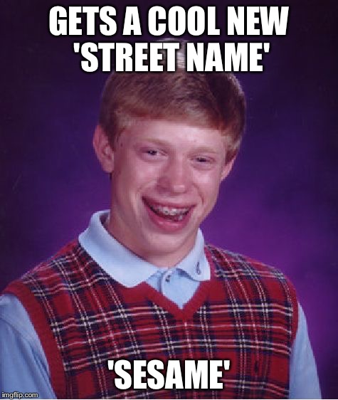 Bad Luck Brian Meme | GETS A COOL NEW 'STREET NAME' 'SESAME' | image tagged in memes,bad luck brian | made w/ Imgflip meme maker