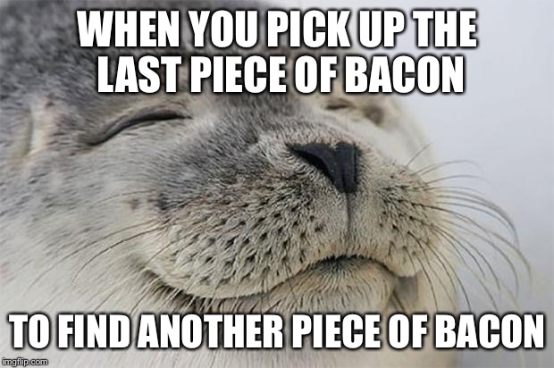Satisfied Seal | WHEN YOU PICK UP THE LAST PIECE OF BACON TO FIND ANOTHER PIECE OF BACON | image tagged in memes,satisfied seal | made w/ Imgflip meme maker