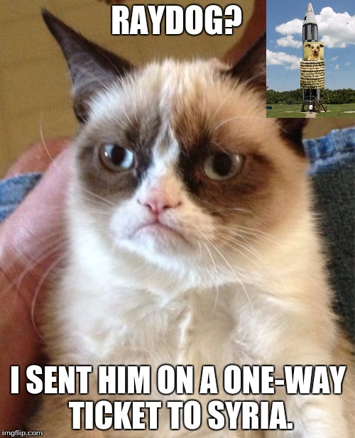 Ray_cat's coming for you, Raydog | RAYDOG? I SENT HIM ON A ONE-WAY TICKET TO SYRIA. | image tagged in memes,grumpy cat | made w/ Imgflip meme maker