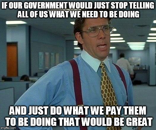That Would Be Great Meme | IF OUR GOVERNMENT WOULD JUST STOP TELLING ALL OF US WHAT WE NEED TO BE DOING AND JUST DO WHAT WE PAY THEM TO BE DOING THAT WOULD BE GREAT | image tagged in memes,that would be great | made w/ Imgflip meme maker