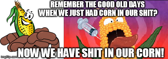 Shit In Our Corn | REMEMBER THE GOOD OLD DAYS WHEN WE JUST HAD CORN IN OUR SHIT? NOW WE HAVE SHIT IN OUR CORN! | image tagged in gmo,corn,shit,remember,monsanto,poison | made w/ Imgflip meme maker