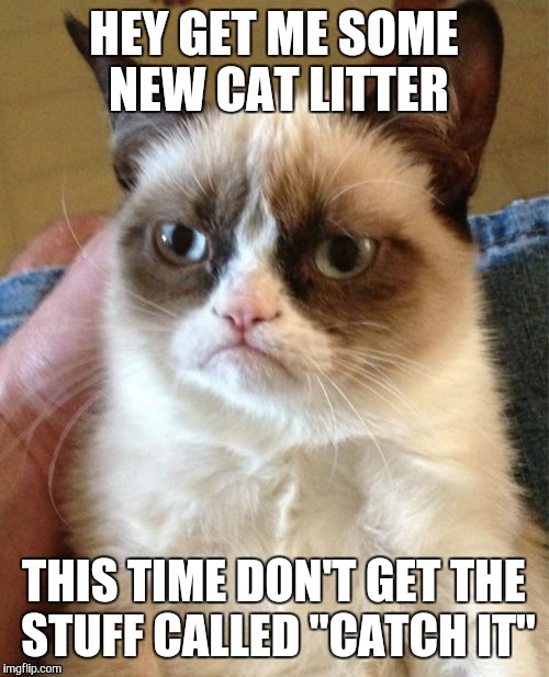 This was an actual name for kitty litter.  | HEY GET ME SOME NEW CAT LITTER THIS TIME DON'T GET THE STUFF CALLED "CATCH IT" | image tagged in memes,grumpy cat | made w/ Imgflip meme maker