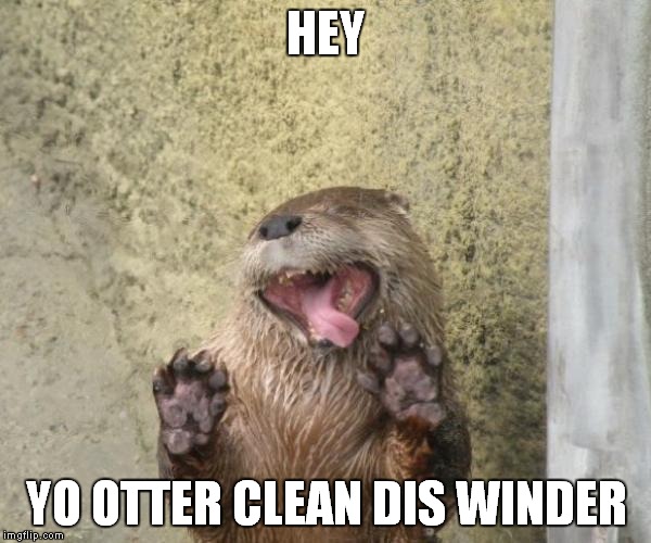 Why I otter cleaning service | HEY YO OTTER CLEAN DIS WINDER | image tagged in otter,cleaning | made w/ Imgflip meme maker