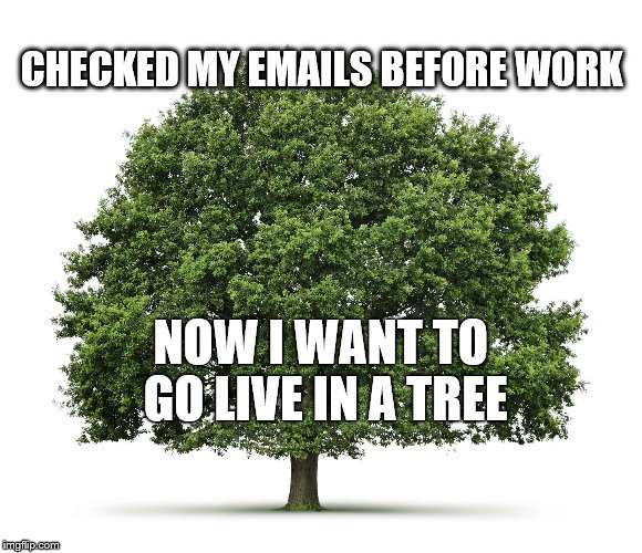 Email Regret | CHECKED MY EMAILS BEFORE WORK NOW I WANT TO GO LIVE IN A TREE | image tagged in work sucks,email,email regret,live in a tree | made w/ Imgflip meme maker