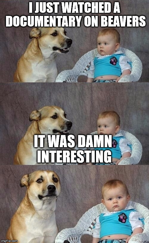 Dad Joke Dog 2 | I JUST WATCHED A DOCUMENTARY ON BEAVERS IT WAS DAMN INTERESTING | image tagged in dad joke dog 2 | made w/ Imgflip meme maker