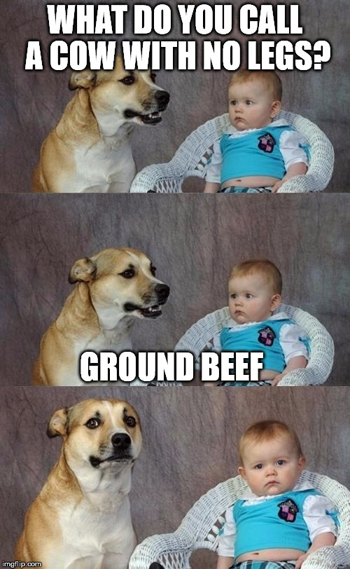Dad Joke Dog 2 | WHAT DO YOU CALL A COW WITH NO LEGS? GROUND BEEF | image tagged in dad joke dog 2 | made w/ Imgflip meme maker
