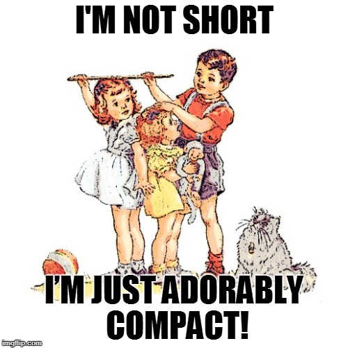 Short Teacher | I'M NOT SHORT I’M JUST ADORABLY COMPACT! | image tagged in short teacher | made w/ Imgflip meme maker
