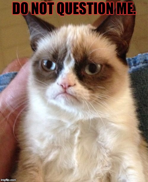 Grumpy Cat | DO NOT QUESTION ME. | image tagged in memes,grumpy cat | made w/ Imgflip meme maker