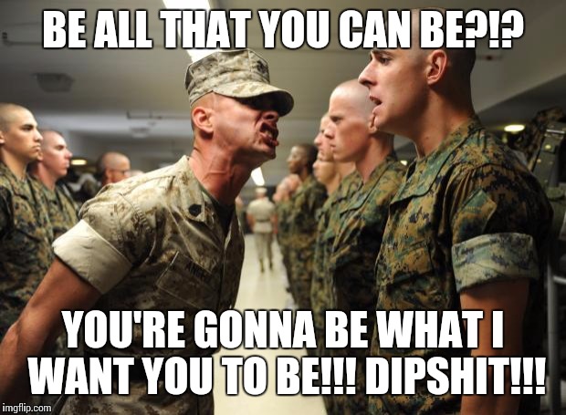 drill sergeant | BE ALL THAT YOU CAN BE?!? YOU'RE GONNA BE WHAT I WANT YOU TO BE!!! DIPSHIT!!! | image tagged in drill sergeant | made w/ Imgflip meme maker