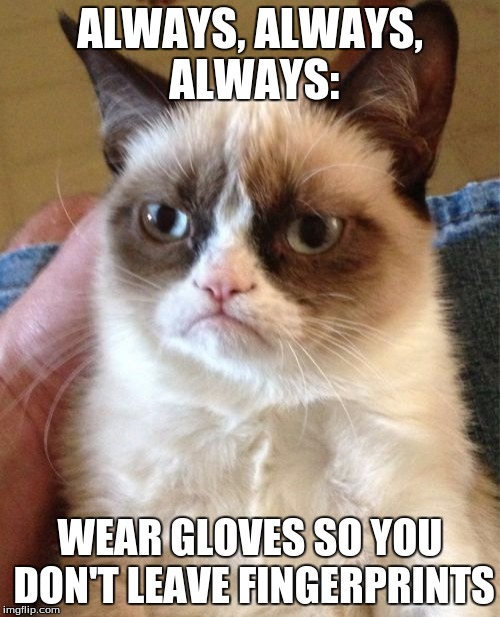 Grumpy Cat | ALWAYS, ALWAYS, ALWAYS: WEAR GLOVES SO YOU DON'T LEAVE FINGERPRINTS | image tagged in memes,grumpy cat | made w/ Imgflip meme maker