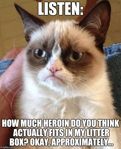 Heroin Cat | LISTEN: HOW MUCH HEROIN DO YOU THINK ACTUALLY FITS IN MY LITTER BOX? OKAY, APPROXIMATELY... | image tagged in memes,grumpy cat,drugs cat | made w/ Imgflip meme maker