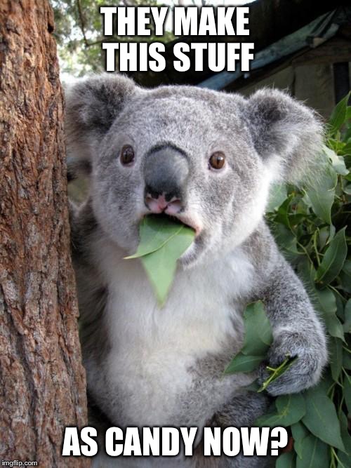 Surprised Koala | THEY MAKE THIS STUFF AS CANDY NOW? | image tagged in memes,surprised koala | made w/ Imgflip meme maker