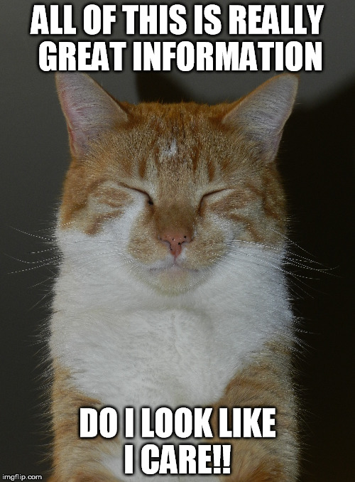 cocky cat | ALL OF THIS IS REALLY GREAT INFORMATION DO I LOOK LIKE I CARE!! | image tagged in funny cat memes,cats,cute cat,funny cat | made w/ Imgflip meme maker