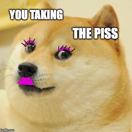 Doge Meme | YOU TAKING THE PISS | image tagged in memes,doge | made w/ Imgflip meme maker