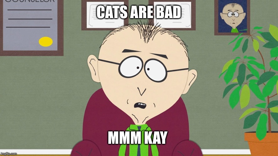 MMM KAY | CATS ARE BAD MMM KAY | image tagged in mmm kay | made w/ Imgflip meme maker