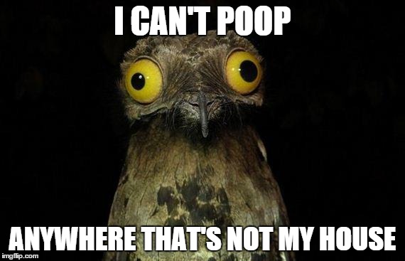 Weird Stuff I Do Potoo | I CAN'T POOP ANYWHERE THAT'S NOT MY HOUSE | image tagged in memes,weird stuff i do potoo | made w/ Imgflip meme maker