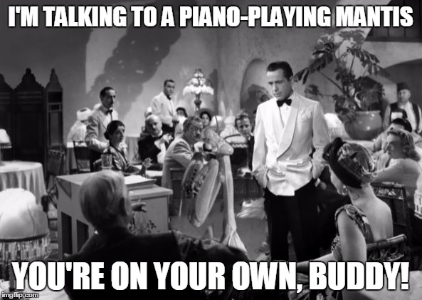 Casablanca Mantis | I'M TALKING TO A PIANO-PLAYING MANTIS YOU'RE ON YOUR OWN, BUDDY! | image tagged in casablanca mantis | made w/ Imgflip meme maker