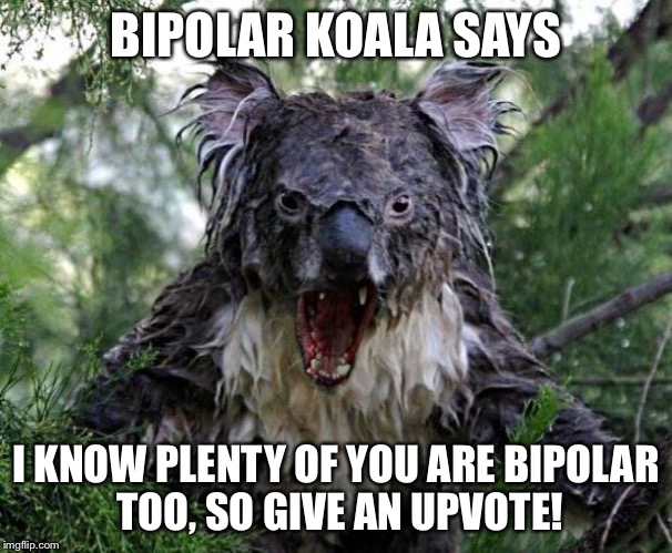 Bipolar Koala | BIPOLAR KOALA SAYS I KNOW PLENTY OF YOU ARE BIPOLAR TOO, SO GIVE AN UPVOTE! | image tagged in bipolar koala | made w/ Imgflip meme maker