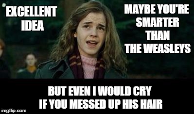 Just Hermione | MAYBE YOU'RE SMARTER THAN THE WEASLEYS BUT EVEN I WOULD CRY IF YOU MESSED UP HIS HAIR EXCELLENT IDEA | image tagged in just hermione | made w/ Imgflip meme maker