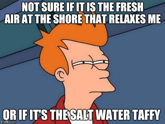 Futurama Fry Meme | NOT SURE IF IT IS THE FRESH AIR AT THE SHORE THAT RELAXES ME OR IF IT'S THE SALT WATER TAFFY | image tagged in memes,futurama fry | made w/ Imgflip meme maker