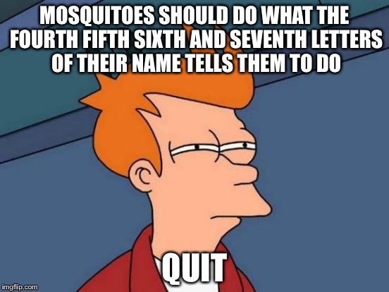 Futurama Fry Meme | MOSQUITOES SHOULD DO WHAT THE FOURTH FIFTH SIXTH AND SEVENTH LETTERS OF THEIR NAME TELLS THEM TO DO QUIT | image tagged in memes,futurama fry | made w/ Imgflip meme maker