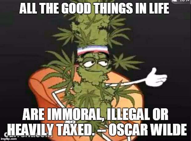 weed | ALL THE GOOD THINGS IN LIFE ARE IMMORAL, ILLEGAL OR HEAVILY TAXED. -- OSCAR WILDE | image tagged in weed | made w/ Imgflip meme maker