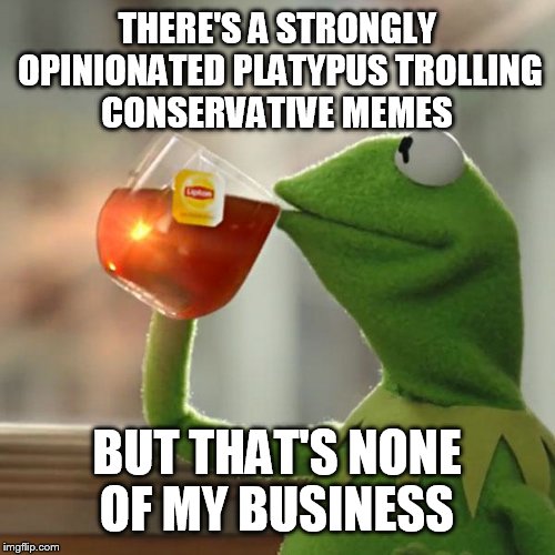 But That's None Of My Business Meme | THERE'S A STRONGLY OPINIONATED PLATYPUS TROLLING CONSERVATIVE MEMES BUT THAT'S NONE OF MY BUSINESS | image tagged in memes,but thats none of my business,kermit the frog | made w/ Imgflip meme maker