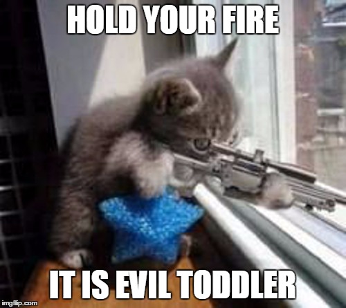 Sniper Cat (500px wide) | HOLD YOUR FIRE IT IS EVIL TODDLER | image tagged in sniper cat 500px wide | made w/ Imgflip meme maker