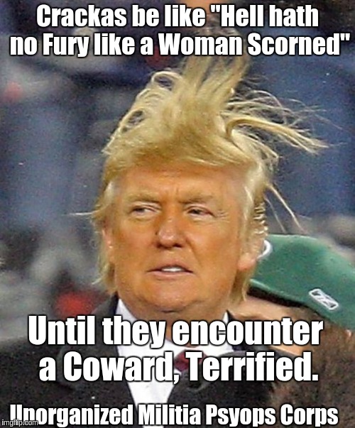 Donald Trumph hair | Crackas be like "Hell hath no Fury like a Woman Scorned" Until they encounter a Coward, Terrified. Unorganized Militia Psyops Corps | image tagged in donald trumph hair | made w/ Imgflip meme maker