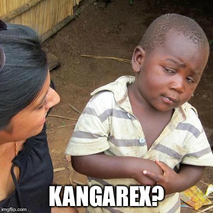 Third World Skeptical Kid Meme | KANGAREX? | image tagged in memes,third world skeptical kid | made w/ Imgflip meme maker