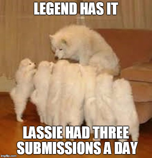 Storytelling Dog 2 | LEGEND HAS IT LASSIE HAD THREE SUBMISSIONS A DAY | image tagged in storytelling dog 2 | made w/ Imgflip meme maker