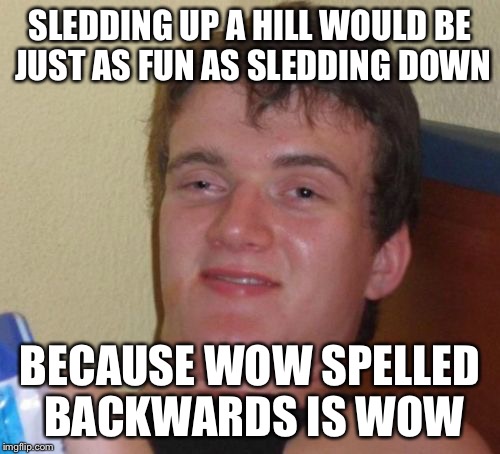 10 Guy Meme | SLEDDING UP A HILL WOULD BE JUST AS FUN AS SLEDDING DOWN BECAUSE WOW SPELLED BACKWARDS IS WOW | image tagged in memes,10 guy | made w/ Imgflip meme maker