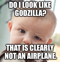 Skeptical Baby | DO I LOOK LIKE GODZILLA? THAT IS CLEARLY NOT AN AIRPLANE. | image tagged in memes,skeptical baby | made w/ Imgflip meme maker