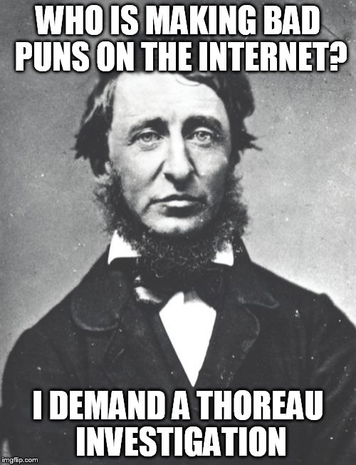 Henry David Thoreau | WHO IS MAKING BAD PUNS ON THE INTERNET? I DEMAND A THOREAU INVESTIGATION | image tagged in memes,henry david thoreau | made w/ Imgflip meme maker