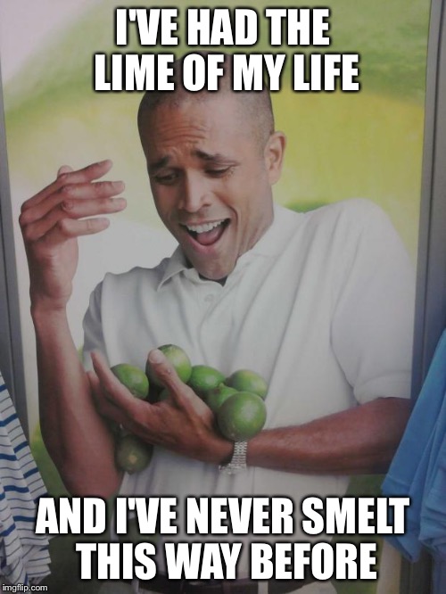 80s song parody | I'VE HAD THE LIME OF MY LIFE AND I'VE NEVER SMELT THIS WAY BEFORE | image tagged in memes,why can't i hold all these limes | made w/ Imgflip meme maker