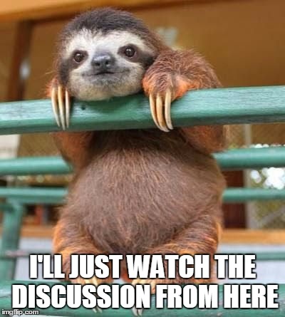 cute-sloth | I'LL JUST WATCH THE DISCUSSION FROM HERE | image tagged in cute-sloth | made w/ Imgflip meme maker
