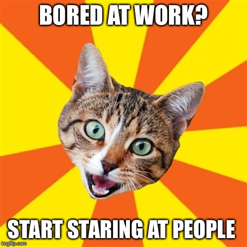 Bad Advice Cat Meme | BORED AT WORK? START STARING AT PEOPLE | image tagged in memes,bad advice cat | made w/ Imgflip meme maker