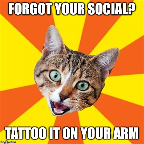 Bad Advice Cat Meme | FORGOT YOUR SOCIAL? TATTOO IT ON YOUR ARM | image tagged in memes,bad advice cat | made w/ Imgflip meme maker