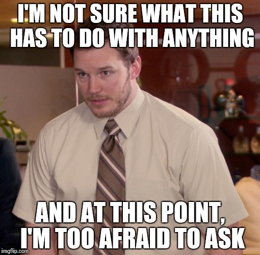 I'M NOT SURE WHAT THIS HAS TO DO WITH ANYTHING AND AT THIS POINT, I'M TOO AFRAID TO ASK | made w/ Imgflip meme maker