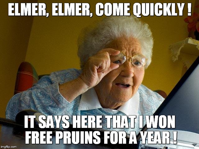 Grandma Finds The Internet | ELMER, ELMER, COME QUICKLY ! IT SAYS HERE THAT I WON FREE PRUINS FOR A YEAR ! | image tagged in memes,grandma finds the internet | made w/ Imgflip meme maker