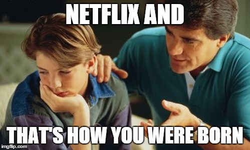 Father Son | NETFLIX AND THAT'S HOW YOU WERE BORN | image tagged in father son | made w/ Imgflip meme maker