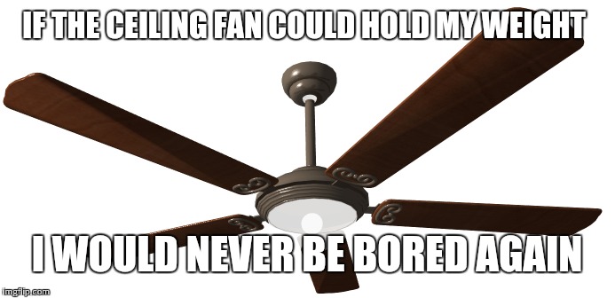 IF THE CEILING FAN COULD HOLD MY WEIGHT I WOULD NEVER BE BORED AGAIN | image tagged in bored,fan | made w/ Imgflip meme maker