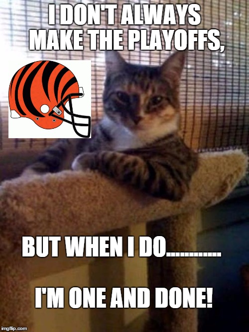 The Most Interesting Cat In The World Meme | I DON'T ALWAYS MAKE THE PLAYOFFS, BUT WHEN I DO............ I'M ONE AND DONE! | image tagged in memes,the most interesting cat in the world | made w/ Imgflip meme maker