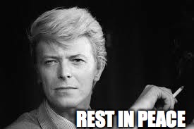 REST IN PEACE | image tagged in david bowie | made w/ Imgflip meme maker