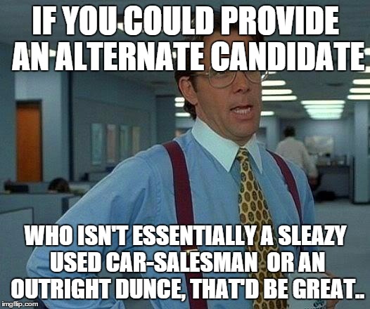 That Would Be Great Meme | IF YOU COULD PROVIDE AN ALTERNATE CANDIDATE WHO ISN'T ESSENTIALLY A SLEAZY USED CAR-SALESMAN  OR AN OUTRIGHT DUNCE, THAT'D BE GREAT.. | image tagged in memes,that would be great | made w/ Imgflip meme maker