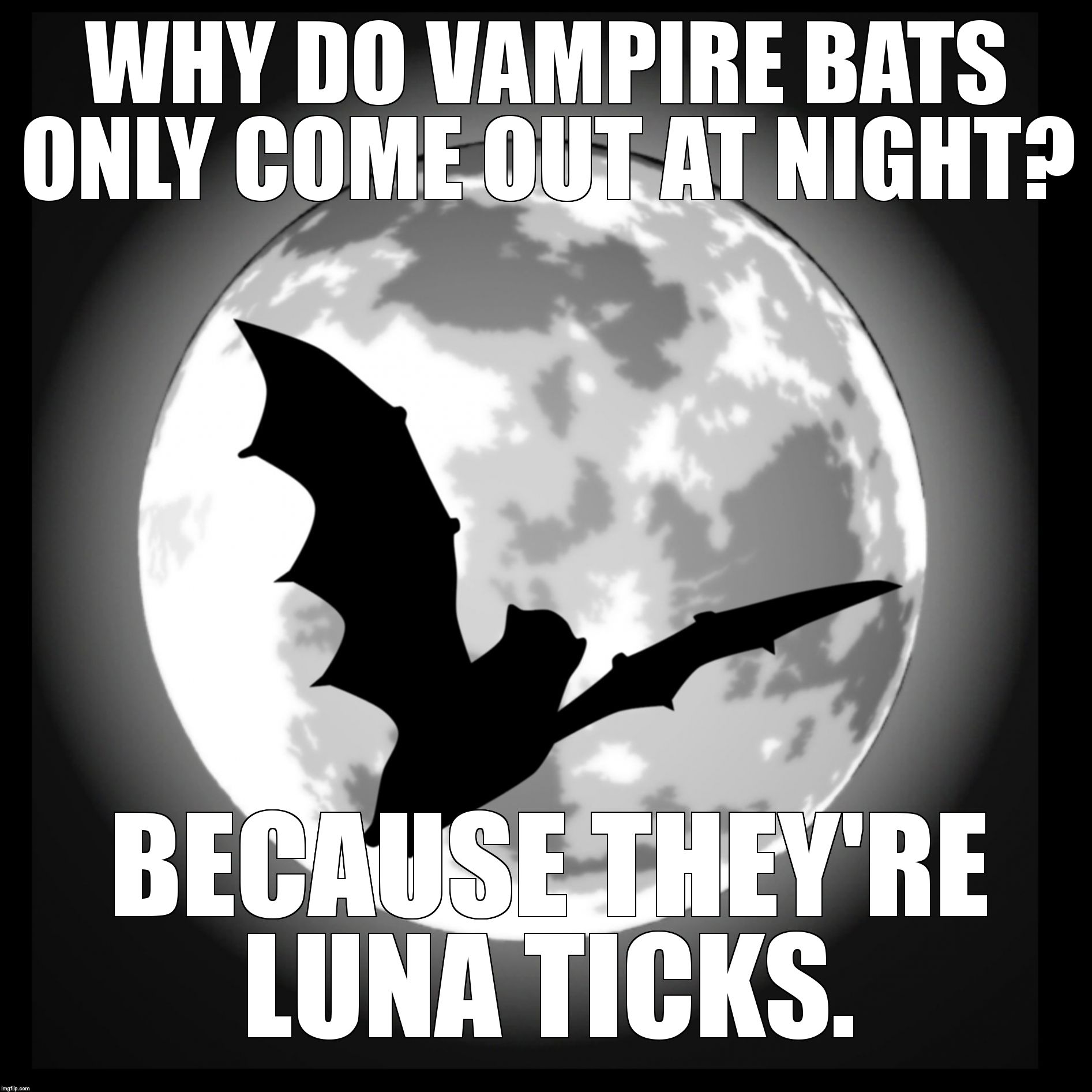 I Don't Know Karate, Butt I Guano Crazy. | WHY DO VAMPIRE BATS ONLY COME OUT AT NIGHT? BECAUSE THEY'RE LUNA TICKS. | image tagged in m-o-o-n that spells | made w/ Imgflip meme maker